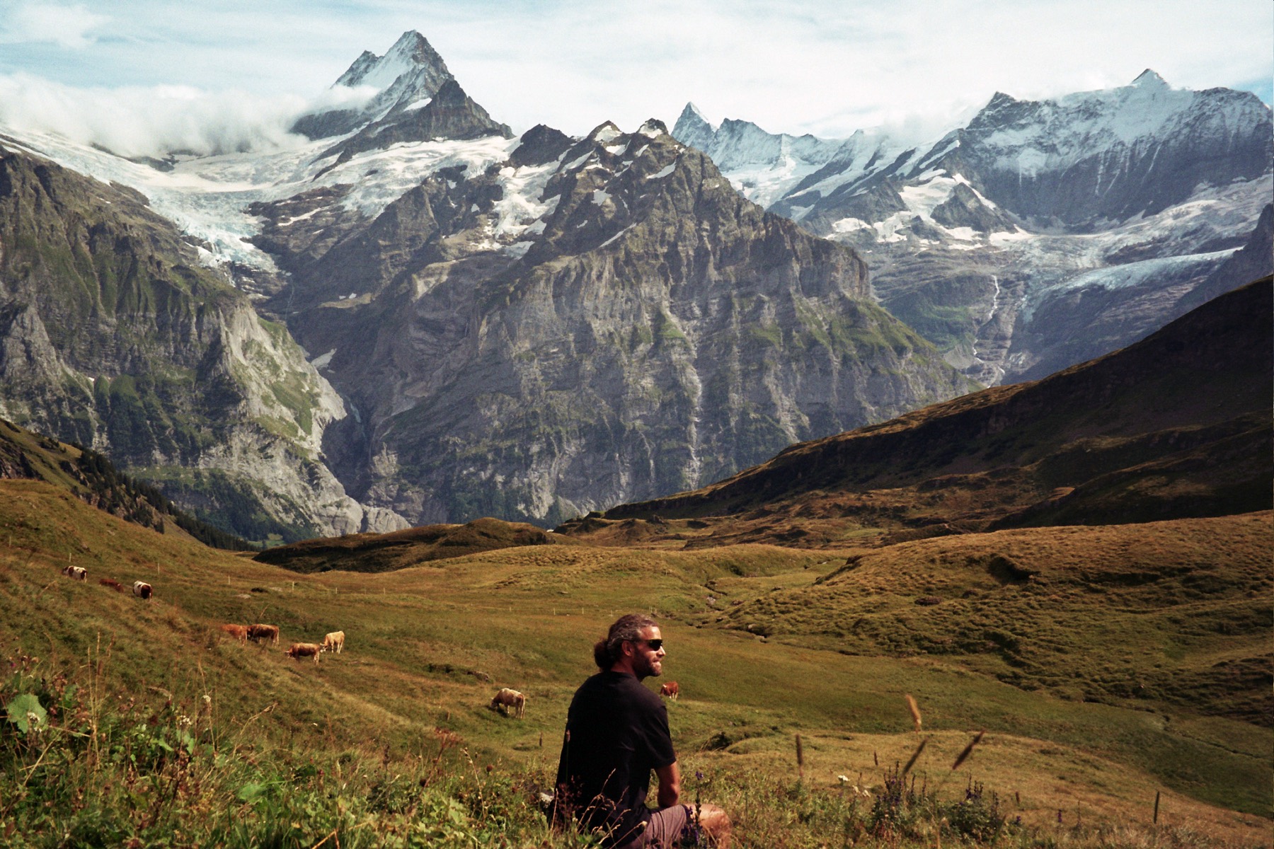 Alpine meadow beneath glaciated peaks